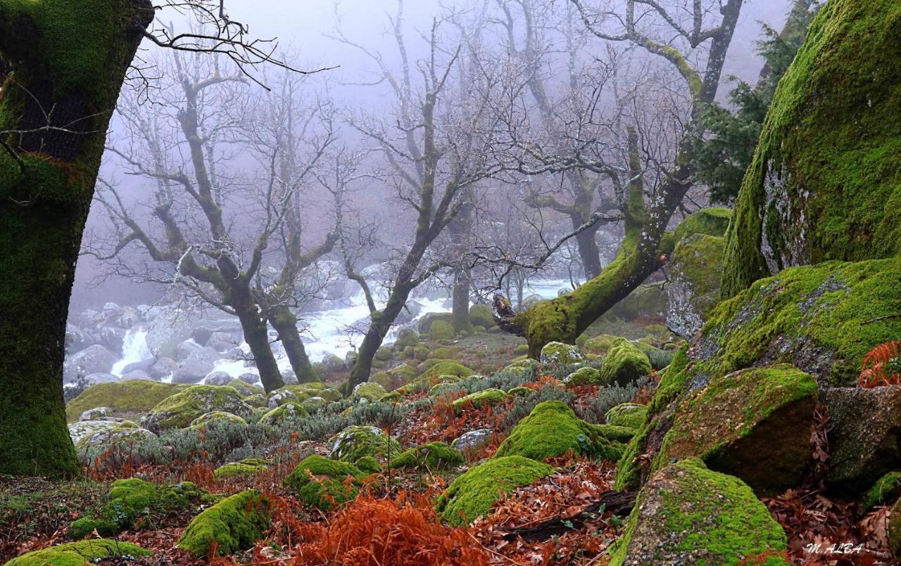 Willa Tinao De Gredos Barajas de Gredos Zewnętrze zdjęcie